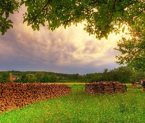 Burza, Chmury, Drzewa, Drewno, Łąka, Niebo