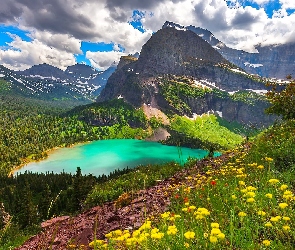 Stany Zjednoczone, Park Narodowy Glacier, Chmury, Montana, Grinnell Lake, Jezioro, Kwiaty, Drzewa, Góry, Las