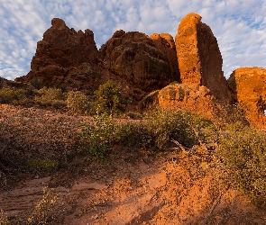 Utah, Park Narodowy Arches, Krzewy, Stany Zjednoczone, Turret Arch, Skały, Formacje