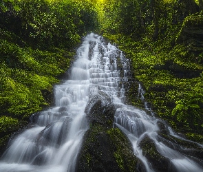 Stan Waszyngton, Staircase Falls, Omszona, Stany Zjednoczone, Wodospad, Las, Skała