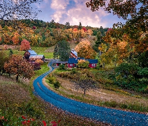 Vermont, Sleepy Hollow Farm, Stany Zjednoczone, Domy, Droga, Pomfret, Drzewa, Jesień