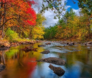 Kamienie, Drzewa, Rzeka, Jesień