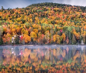 Kanada, Odbicie, Dom, Quebec, Drzewa, Las, Jesień, Jezioro, Park Narodowy La Mauricie, Mgła