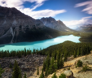 Jezioro, Lasy, Park Narodowy Banff, Góry, Prowincja Alberta, Peyto Lake, Kanada, Chmury