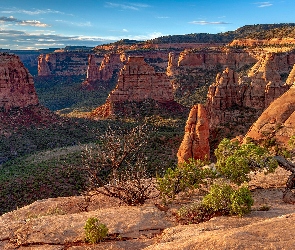 Krzewy, Drzewa, Kolorado, Stany Zjednoczone, Colorado National Monument, Skały