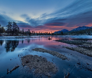Drzewa, Spraque Lake, Stan Kolorado, Zachód słońca, Jezioro, Stany Zjednoczone, Park Narodowy Gór Skalistych