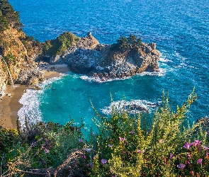 Wybrzeże Big Sur, Kalifornia, Stany Zjednoczone, Park Stanowy Julia Pfeiffer Burns, Morze, Wodospad, Kwiaty, Zatoka McWay Cove, Plaża, Skały, McWay Falls, Drzewa