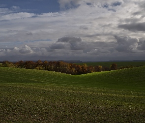 Wzgórza, Chmury, Trawa, Drzewa, Pole