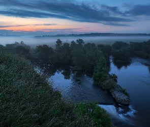 Drzewa, Trawa, Mgła, Rzeka