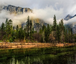 Kalifornia, Park Narodowy Yosemite, Drzewa, Stany Zjednoczone, Rzeka, Chmury, Góry
