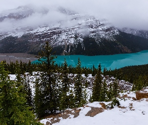 Park Narodowy Banff, Alberta, Drzewa, Kanada, Śnieg, Lasy, Jezioro, Peyto Lake, Góry