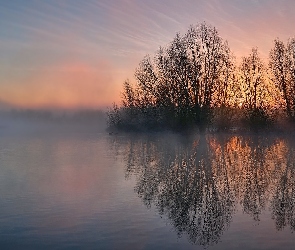 Odbicie, Drzewa, Wschód słońca, Poranek, Jezioro, Mgła