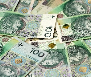 Banknoty, Stuzłotowe, Waluta