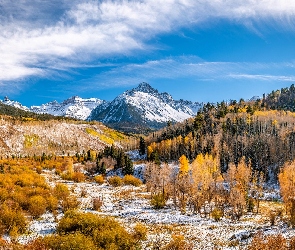 Stany Zjednoczone, Przełęcz Dallas Divide, Śnieg, Kolorado, Góra, San Juan Mountains, Mount Sneffels, Lasy, Góry, Drzewa