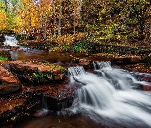 Horton Creek, Stan Arizona, Stany Zjednoczone, Rzeka, Kaskada, Opadłe, Skały, Kamienie, Las, Drzewa, Liście, Jesień