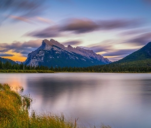 Góry, Las, Park Narodowy Banff, Vermilion Lakes, Alberta, Jezioro, Kanada, Drzewa