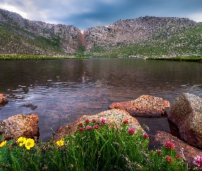 Mount Evans, Kamienie, Góry, Summit Lake, Stan Kolorado, Jezioro, Stany Zjednoczone, Kwiaty
