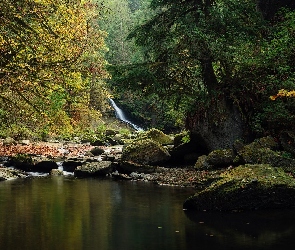 Kolumbia Brytyjska, Kanaka Creek, Kamienie, Kanada, Rzeka, Las, Drzewa