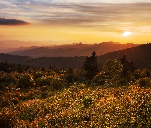 Mgła, Jesień, Roślinność, Zachód słońca, Drzewa, Góry, Wzgórza