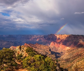 Stany Zjednoczone, Drzewa, Tęcza, Arizona, Grand Canyon, Wielki Kanion Kolorado, Park Narodowy Wielkiego Kanionu, Skały, Kanion, Chmury