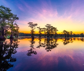 Stan Teksas, Wschód słońca, Caddo Lake, Stany Zjednoczone, Cyprysy, Jezioro, Drzewa