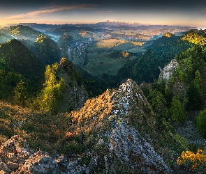 Las, Trawa, Mgła, Wschód słońca, Góry, Skały