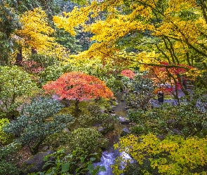 Drzewa, Jesień, Ogród japoński