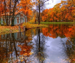 Petersburg, Drzewa, Rosja, Jesień, Staw, Carskie Sioło, Domek, Park