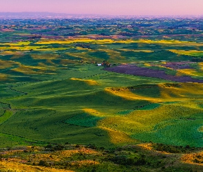 Waszyngton, Pola, Wzgórza, Palouse, Stany Zjednoczone