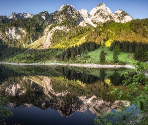 Odbicie, Drzewa, Góry, Austria, Dachstein, Jezioro Gosauseen