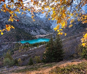 Jezioro, Jesień, Drzewa, Gałęzie, Góry