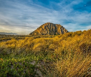 Góra, Kalifornia, Rośliny, Stany Zjednoczone, Księżyc, Trawa, Morro Rock, Skała, Żółta