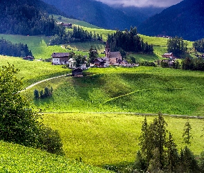 Drogi, Kościół, Santa Maddalena, Domy, Alpy, Góry, Lasy, Drzewa, Włochy, Wieś