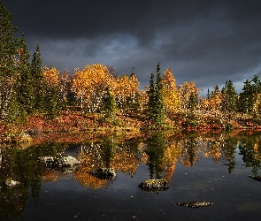 Drzewa, Jesień, Półwysep Kolski, Chmury, Jezioro, Rosja, Chibiny