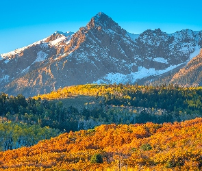 Stany Zjednoczone, Dzień, Słoneczny, Stan Kolorado, San Juan Mountains, Góry, Lasy, Kolorowe, Jesień, Drzewa
