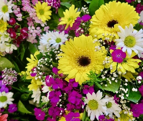 Gerbery, Bukiet, Kolorowe, Kwiaty