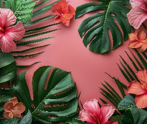 Hibiskusy, Liście, Kwiaty