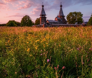 Drzewa, Kwiaty, Cerkiew, Łąka