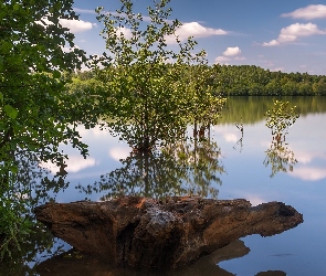 Skała, Drzewa, Jezioro, Zielone