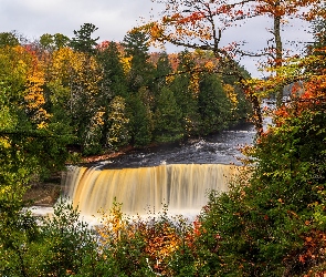 Stany Zjednoczone, Miejscowość Paradise, Jesień, Stan Michigan, Root Beer Falls, Tahquamenon Falls, Las, Drzewa, Wodospad, Rzeka Tahquamenon