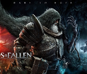 Włosy, Broda, The Lords of the Fallen, Plakat, Zbroja, Gra, Postać