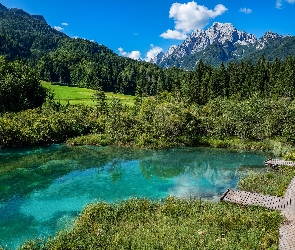Góry, Kranjska Gora, Trawa, Słowenia, Pomosty, Rezerwat przyrody Zelenci, Las, Drzewa, Jezioro