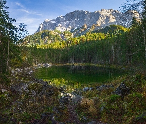 Jezioro, Rośliny, Skały, Drzewa, Góry