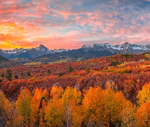 Stany Zjednoczone, Kolorowe, Drzewa, Kolorado, Przełęcz, San Juan Mountains, Dallas Divide, Jesień, Góry, Lasy