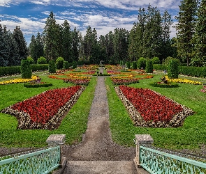 Stany Zjednoczone, Kwiaty, Duncan Garden, Schody, Drzewa, Ogród, Waszyngton, Spokane, Manito Park