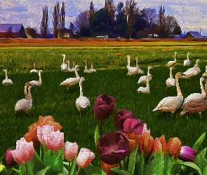 Domy, Tulipany, Kwiaty, Grafika, Kolorowe, Ptaki, Drzewa, Łąka, Trawa