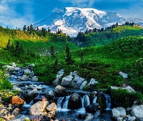 Stany Zjednoczone, Kamienie, Łąka, Drzewa, Potok, Dolina, Góra, Mount Rainier, Park Narodowy Mount Rainier