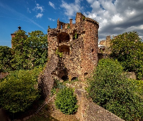 Drzewa, Wieża, Heidelberg, Niemcy, Zamek, Ruiny