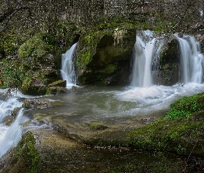 Hiszpania, Rośliny, Skały, Omszałe, Rzeka, Rio Deva