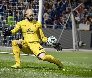 Fifa 15, Tim Howard, Gra